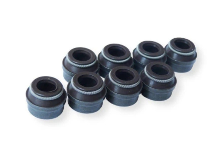 لاستیک ساق سوپاپ ویژن کد G198 مناسب برای پژو 405، پژو پارس و سمند XU7 بسته 8 عددی | آببندی کامل سوپاپ و کاهش مصرف روغن